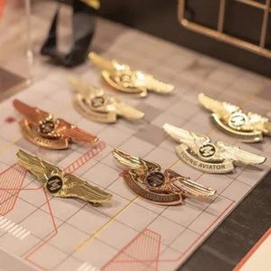 Pilot Wings Badge